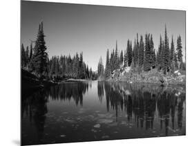 Canada, British Columbia, Revelstoke, Mount Revelstoke National Park-Mike Grandmaison-Mounted Photographic Print