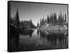 Canada, British Columbia, Revelstoke, Mount Revelstoke National Park-Mike Grandmaison-Framed Stretched Canvas