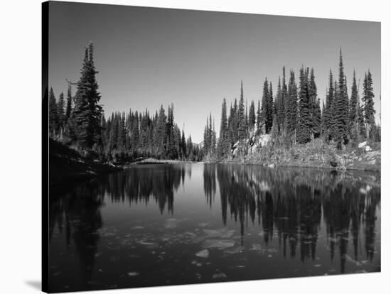 Canada, British Columbia, Revelstoke, Mount Revelstoke National Park-Mike Grandmaison-Stretched Canvas