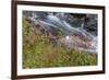 Canada, British Columbia, Selkirk Mountains. Leatherleaf saxifrage flowers and cascading stream.-Jaynes Gallery-Framed Photographic Print