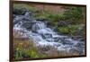 Canada, British Columbia, Selkirk Mountains. Leatherleaf saxifrage flowers and cascading stream.-Jaynes Gallery-Framed Photographic Print