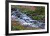 Canada, British Columbia, Selkirk Mountains. Leatherleaf saxifrage flowers and cascading stream.-Jaynes Gallery-Framed Photographic Print