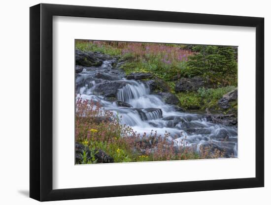 Canada, British Columbia, Selkirk Mountains. Leatherleaf saxifrage flowers and cascading stream.-Jaynes Gallery-Framed Photographic Print