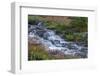 Canada, British Columbia, Selkirk Mountains. Leatherleaf saxifrage flowers and cascading stream.-Jaynes Gallery-Framed Photographic Print