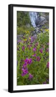Canada, British Columbia, Selkirk Mountains. Monkeyflowers and waterfall.-Jaynes Gallery-Framed Photographic Print