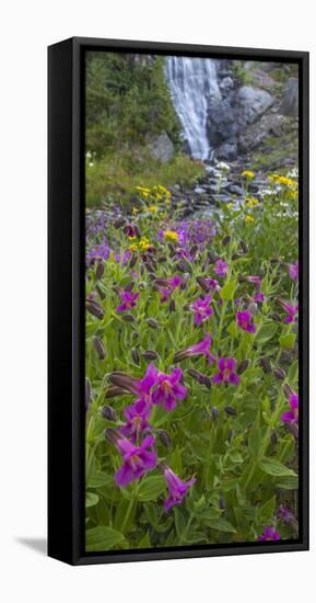 Canada, British Columbia, Selkirk Mountains. Monkeyflowers and waterfall.-Jaynes Gallery-Framed Stretched Canvas