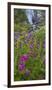 Canada, British Columbia, Selkirk Mountains. Monkeyflowers and waterfall.-Jaynes Gallery-Framed Photographic Print