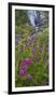 Canada, British Columbia, Selkirk Mountains. Monkeyflowers and waterfall.-Jaynes Gallery-Framed Photographic Print