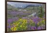 Canada, British Columbia, Selkirk Mountains. Wildflowers and stream in meadow.-Jaynes Gallery-Framed Photographic Print