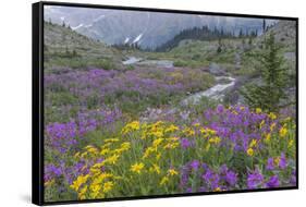 Canada, British Columbia, Selkirk Mountains. Wildflowers and stream in meadow.-Jaynes Gallery-Framed Stretched Canvas