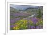 Canada, British Columbia, Selkirk Mountains. Wildflowers and stream in meadow.-Jaynes Gallery-Framed Photographic Print