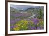 Canada, British Columbia, Selkirk Mountains. Wildflowers and stream in meadow.-Jaynes Gallery-Framed Photographic Print