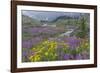 Canada, British Columbia, Selkirk Mountains. Wildflowers and stream in meadow.-Jaynes Gallery-Framed Photographic Print