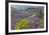 Canada, British Columbia, Selkirk Mountains. Wildflowers and stream in meadow.-Jaynes Gallery-Framed Photographic Print