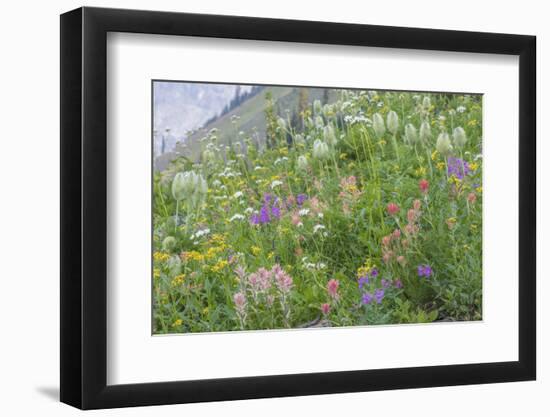 Canada, British Columbia, Selkirk Mountains. Wildflowers on hillside.-Jaynes Gallery-Framed Photographic Print