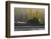 Canada, British Columbia, Tofino. Backlit Western red cedar trees.-Yuri Choufour-Framed Photographic Print