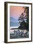 Canada, British Columbia, Tofino. Schooner Cove sunset.-Yuri Choufour-Framed Photographic Print