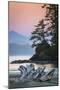 Canada, British Columbia, Tofino. Schooner Cove sunset.-Yuri Choufour-Mounted Photographic Print