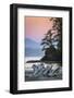 Canada, British Columbia, Tofino. Schooner Cove sunset.-Yuri Choufour-Framed Photographic Print