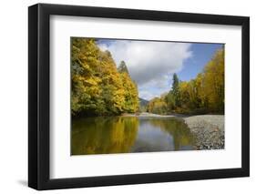 Canada, British Columbia, Vancouver Island, Cowichan Valley-Kevin Oke-Framed Photographic Print