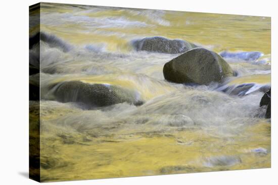 Canada, British Columbia, Vancouver Island. Fall Colors Reflected in Harris Creek-Kevin Oke-Stretched Canvas