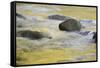 Canada, British Columbia, Vancouver Island. Fall Colors Reflected in Harris Creek-Kevin Oke-Framed Stretched Canvas