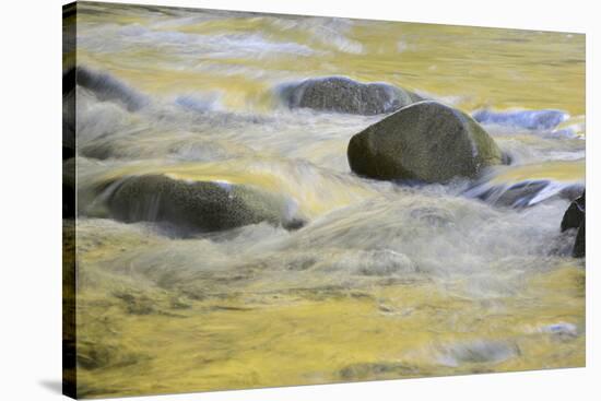 Canada, British Columbia, Vancouver Island. Fall Colors Reflected in Harris Creek-Kevin Oke-Stretched Canvas