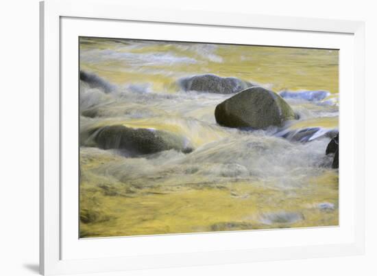 Canada, British Columbia, Vancouver Island. Fall Colors Reflected in Harris Creek-Kevin Oke-Framed Photographic Print