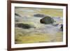 Canada, British Columbia, Vancouver Island. Fall Colors Reflected in Harris Creek-Kevin Oke-Framed Photographic Print