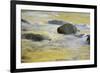 Canada, British Columbia, Vancouver Island. Fall Colors Reflected in Harris Creek-Kevin Oke-Framed Photographic Print