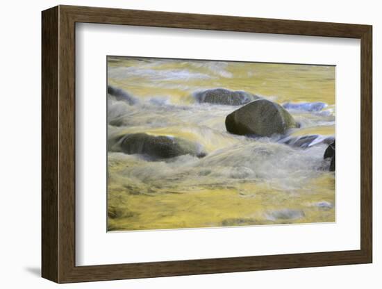 Canada, British Columbia, Vancouver Island. Fall Colors Reflected in Harris Creek-Kevin Oke-Framed Photographic Print