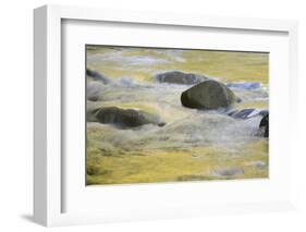 Canada, British Columbia, Vancouver Island. Fall Colors Reflected in Harris Creek-Kevin Oke-Framed Photographic Print