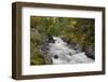 Canada, British Columbia, Vancouver Island. Harris Creek Flowing Through Harris Canyon in Fall-Kevin Oke-Framed Photographic Print