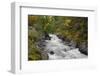 Canada, British Columbia, Vancouver Island. Harris Creek Flowing Through Harris Canyon in Fall-Kevin Oke-Framed Photographic Print