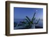 Canada, British Columbia, Vancouver Island, Juan Defuca Straight, French Beach,-Christian Heeb-Framed Photographic Print