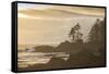 Canada, British Columbia, Vancouver Island, Port Renfrew, Juan Defuca Provincal Park-Christian Heeb-Framed Stretched Canvas