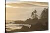 Canada, British Columbia, Vancouver Island, Port Renfrew, Juan Defuca Provincal Park-Christian Heeb-Stretched Canvas