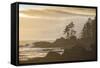 Canada, British Columbia, Vancouver Island, Port Renfrew, Juan Defuca Provincal Park-Christian Heeb-Framed Stretched Canvas