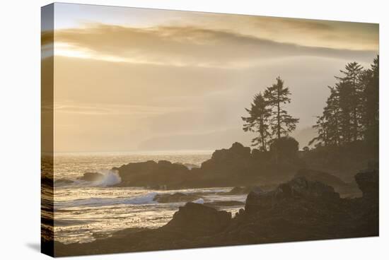 Canada, British Columbia, Vancouver Island, Port Renfrew, Juan Defuca Provincal Park-Christian Heeb-Stretched Canvas