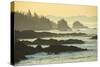Canada, British Columbia Vancouver Island, Ucluelet, West Coast-Christian Heeb-Stretched Canvas