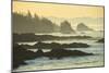 Canada, British Columbia Vancouver Island, Ucluelet, West Coast-Christian Heeb-Mounted Photographic Print