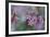 Canada, British Columbia, Vancouver Island. Wild Sedum-Kevin Oke-Framed Photographic Print