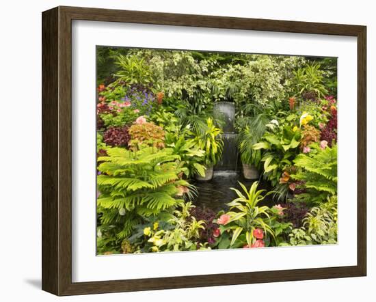 Canada, British Columbia, Victoria, Flower Close-Up-Jamie And Judy Wild-Framed Photographic Print