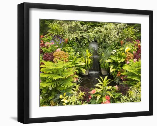 Canada, British Columbia, Victoria, Flower Close-Up-Jamie And Judy Wild-Framed Photographic Print