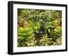 Canada, British Columbia, Victoria, Flower Close-Up-Jamie And Judy Wild-Framed Photographic Print