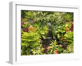 Canada, British Columbia, Victoria, Flower Close-Up-Jamie And Judy Wild-Framed Photographic Print