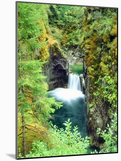 Canada, British Columbia. Waterfall on the Little Qualicum River-Jaynes Gallery-Mounted Photographic Print