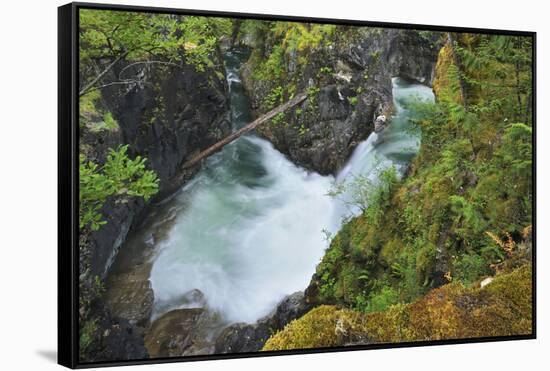 Canada, British Columbia. Waterfall on the Little Qualicum River.-Jaynes Gallery-Framed Stretched Canvas