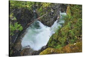 Canada, British Columbia. Waterfall on the Little Qualicum River.-Jaynes Gallery-Stretched Canvas