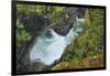 Canada, British Columbia. Waterfall on the Little Qualicum River.-Jaynes Gallery-Framed Photographic Print